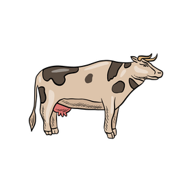 Cow animal drawing clipart