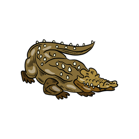 Cartoon crocodile clipart