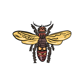Wasp drawing clipart