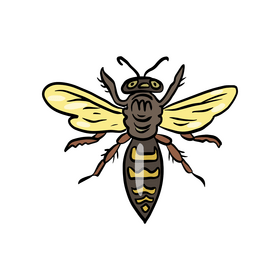 Wasp clipart