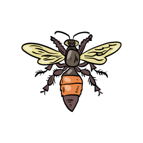 Wasp clipart