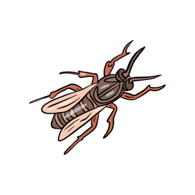 Free wasp illustration clipart