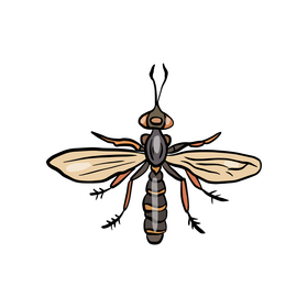 Insect clipart