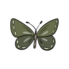Green moth insect clipart