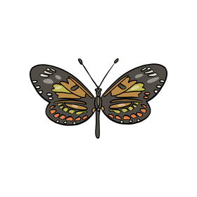 Cossina moth clipart