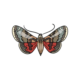 Cartoon butterfly clipart