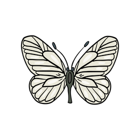 Butterfly drawing clipart
