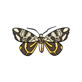 Butterfly pest clipart