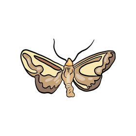 Cartoon butterfly pest clipart