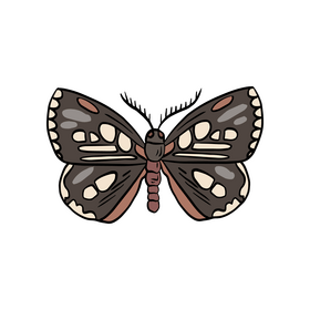 Black butterfly drawing clipart