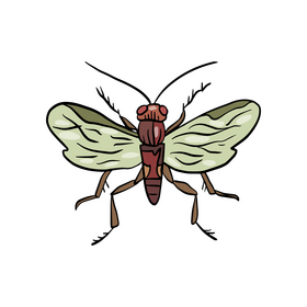 Flying insect clipart