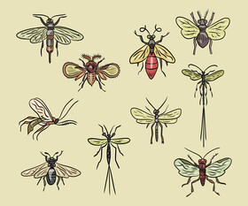 Flying insects vector