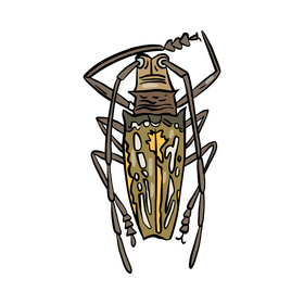 Forest bug clipart