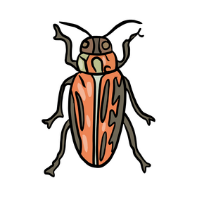 Forest insect clipart