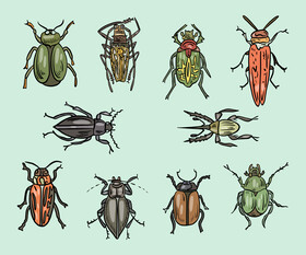 Forest insects vector