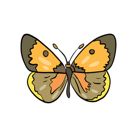 Butterfly clipart