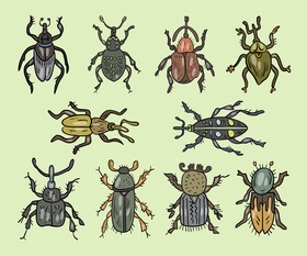 Leaf beetles vector