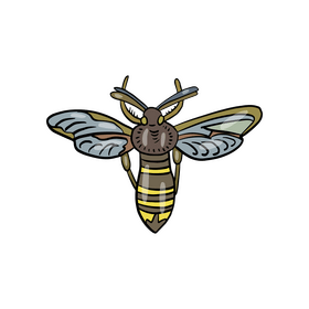 Free butterfly illustration clipart