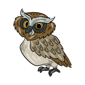 Owl bird clipart