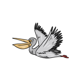 Cartoon Pelican bird illustration clipart