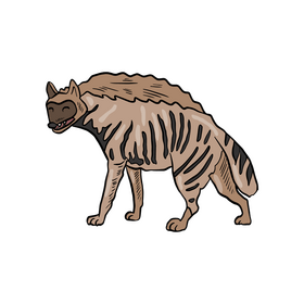Free hyena animal clipart