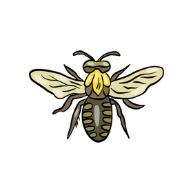 Bee insect clipart