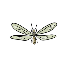 Dragonfly insect clipart