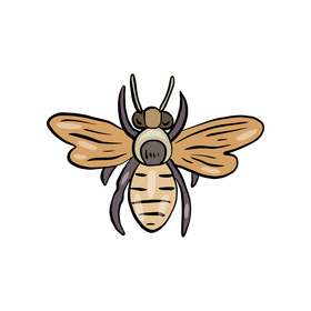 Free wasp insect clipart