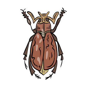 Cartoon beetle insect clipart