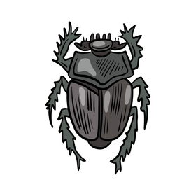 Black beetle drawing clipart