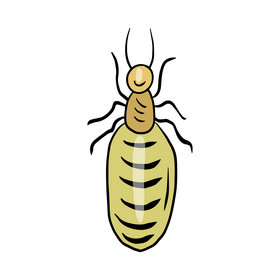 Crawling insect clipart