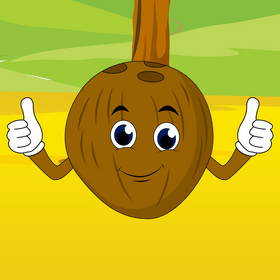 Coconut cartoon vector