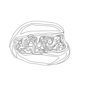 Vetkoek black and white clipart