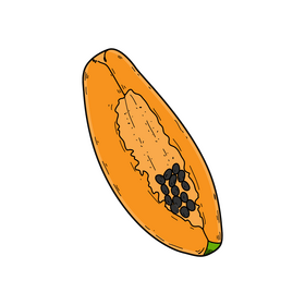 Papaya fruit slice clipart