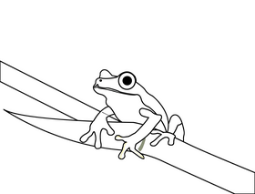 Frog black and white clipart