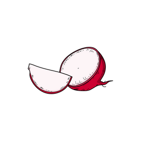 Radish cut drawing clipart
