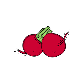 Red radishes clipart
