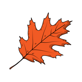 Red autumn leaf clipart