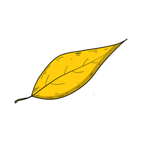 Yellow fall leaf drawing clipart