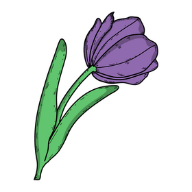 Tulip drawing clipart
