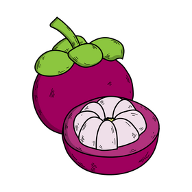 Mangosteen drawing clipart