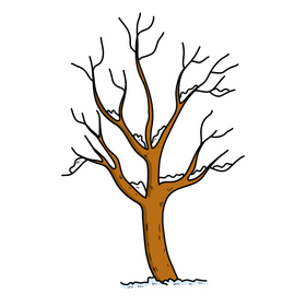 Free winter tree without leaves drawing clipart