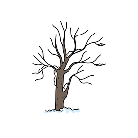 Winter tree with snow clipart
