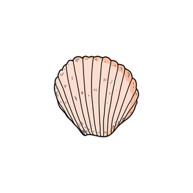 Oyster drawing clipart