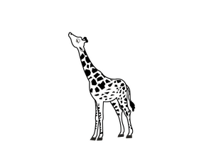 Giraffe black and white clipart
