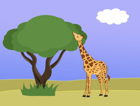 Giraffe vector