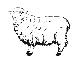Sheep black and white clipart