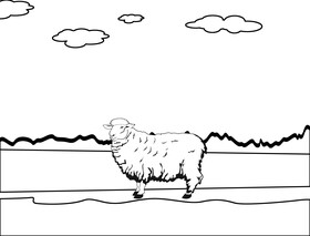 Sheep black and white vector