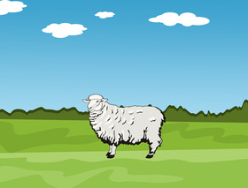 Sheep vector