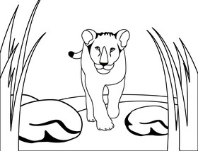 Lioness black and white vector